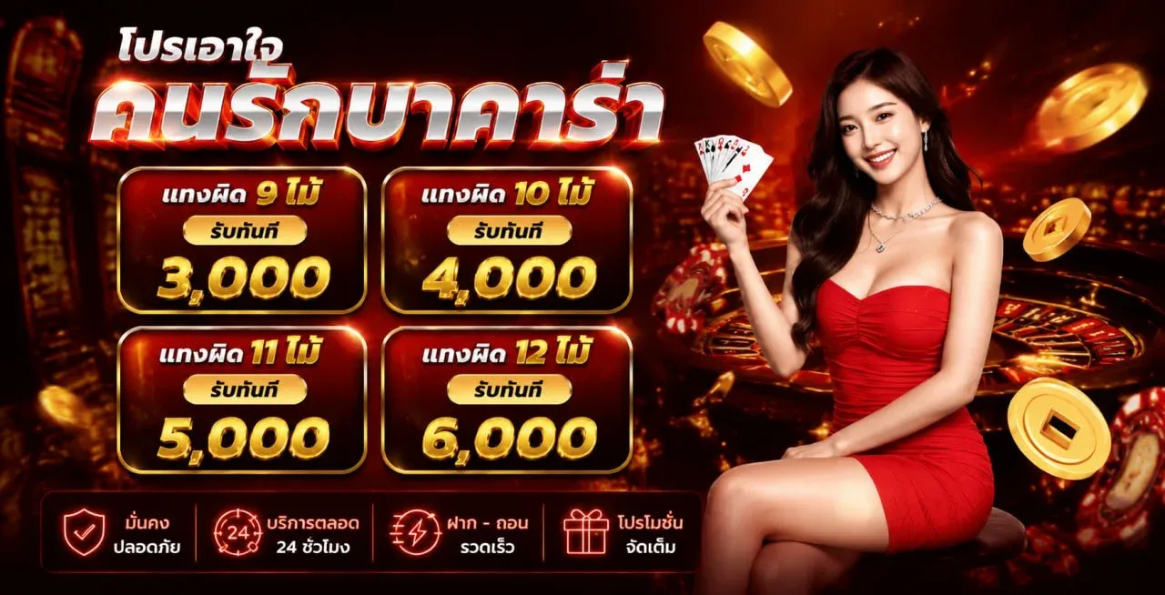 ภาพรวมบริการ DGB222 เว็บตรงคาสิโนออนไลน์ครบวงจร